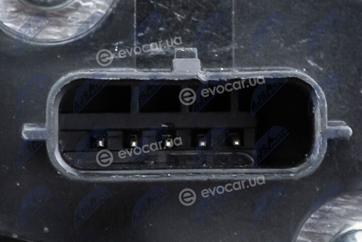 NTY EPP-NS-019