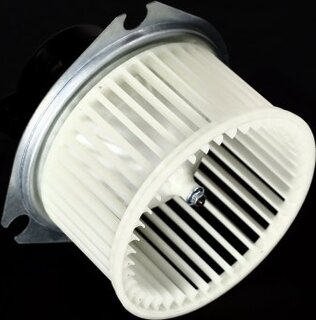 AVA DW8444