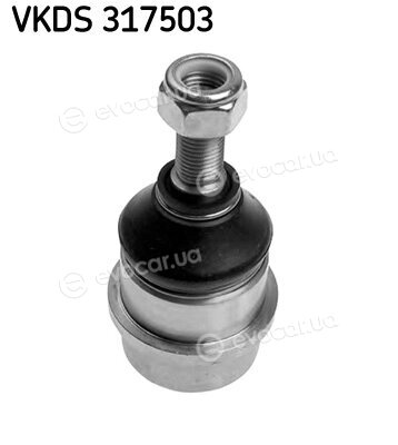 SKF VKDS 317503