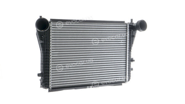 Mahle CI 83 000P