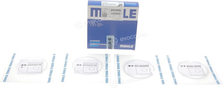 Mahle 640 RS 10102 0N0