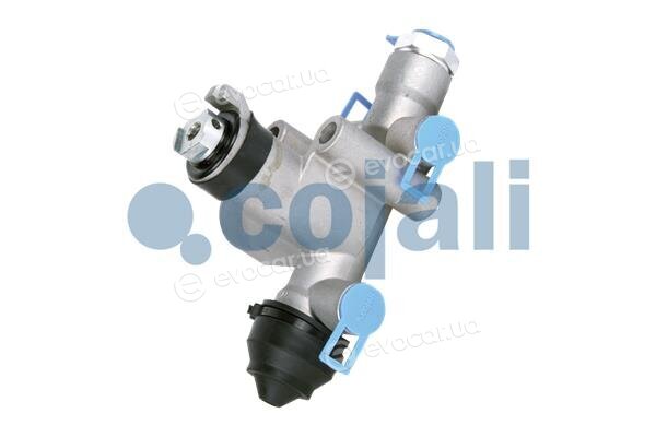 Cojali 2314204