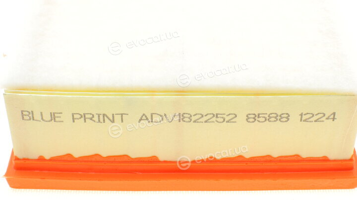 Blue Print ADV182252