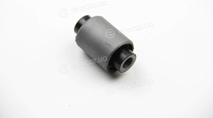 BC Guma 0307
