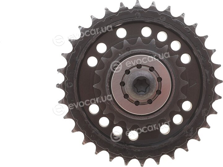Motive TCK318