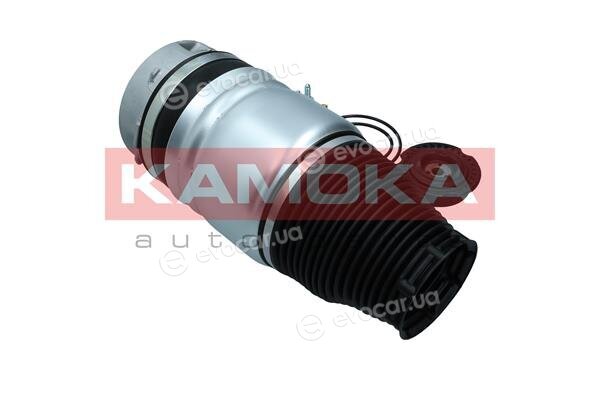 Kamoka 2079007