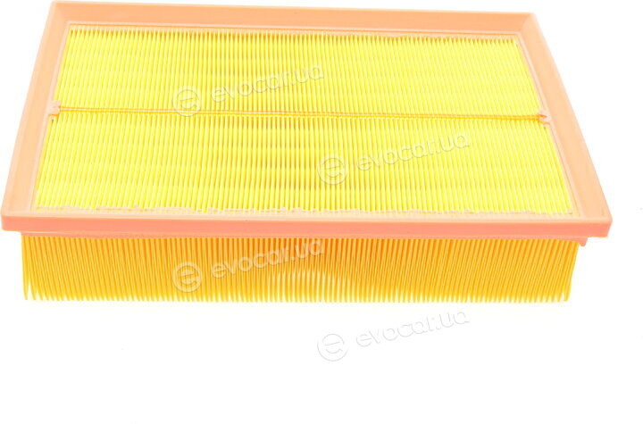 Borsehung B10537