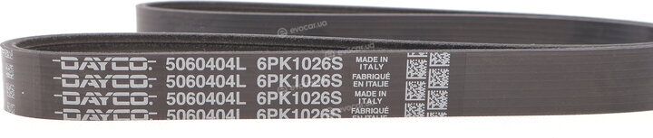Dayco 6PK1026S