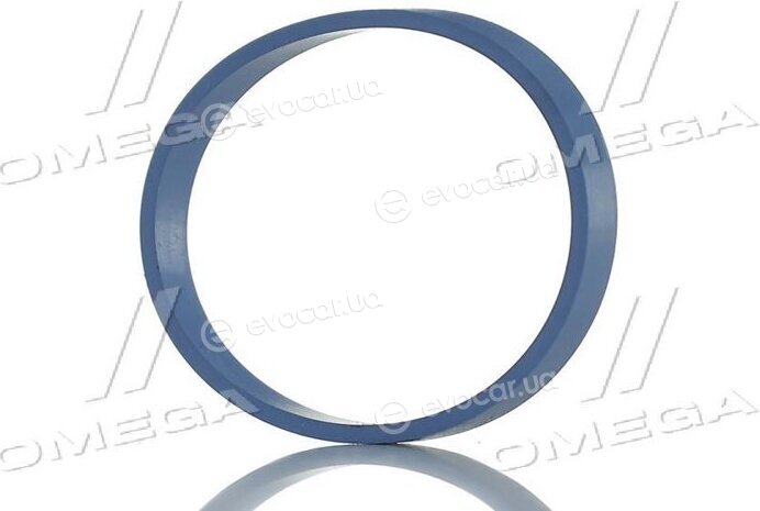 Elring 520.850