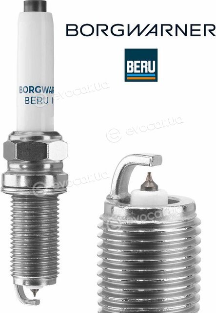BorgWarner Z367