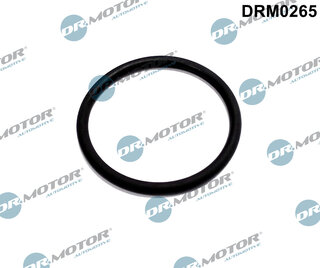 Dr. Motor DRM0265