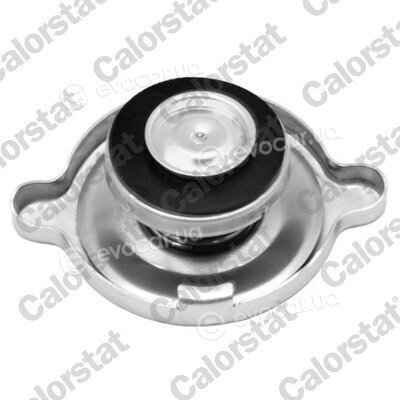 Vernet / Calorstat RC0067