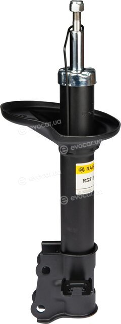 Raiso RS313530