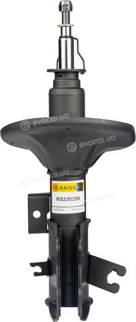 Raiso RS230295