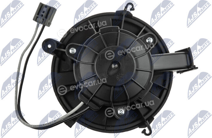 NTY EWN-PL-002