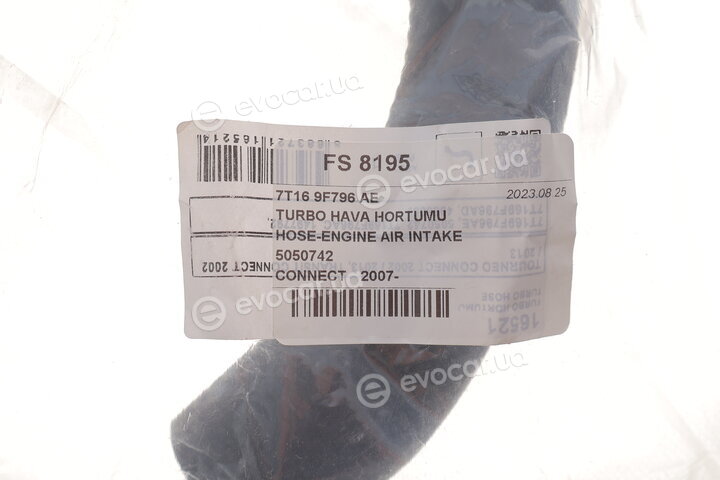 DP FS 8195