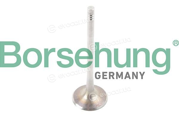 Borsehung B13371