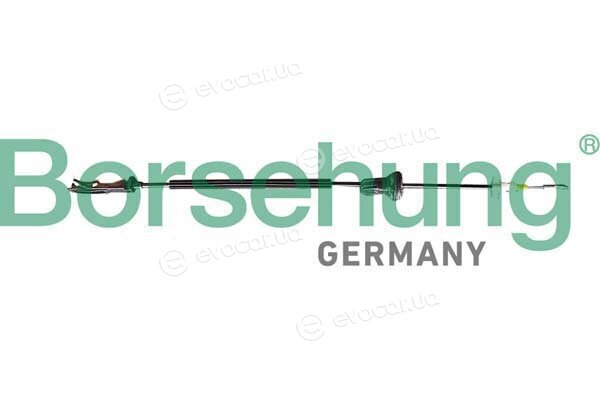 Borsehung B10794