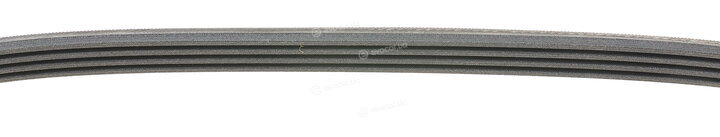 Continental 4PK825