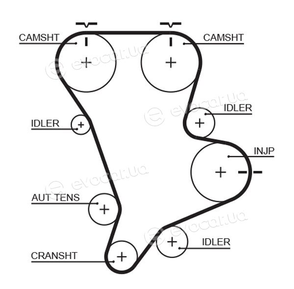 Gates K015583XS