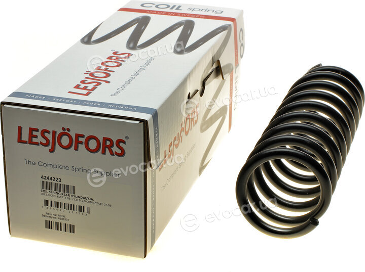 Lesjofors 4244223