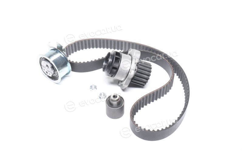 Gates KP55569XS-3