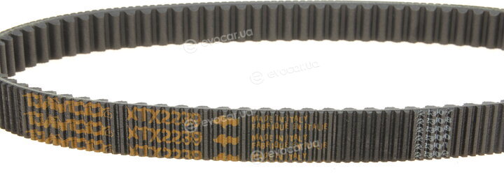 Dayco XTX2239