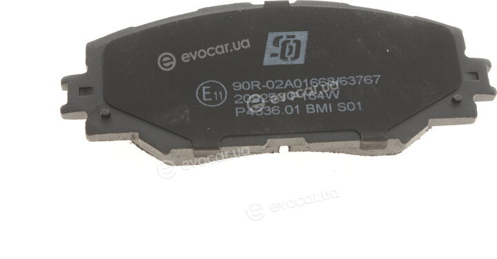 Solgy 209253