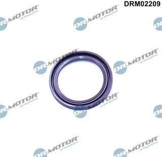 Dr. Motor DRM02209