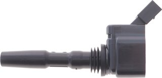 Delphi GN10631