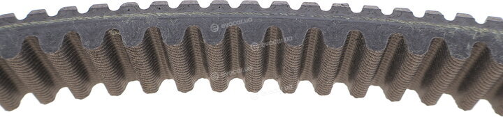 Dayco XTX2260