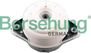 Borsehung B12657