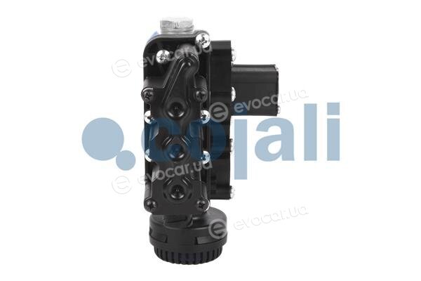 Cojali 2209455
