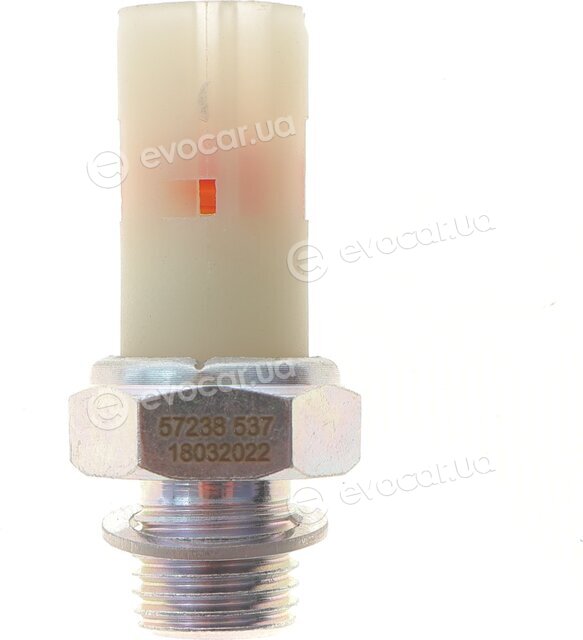 AIC 57238