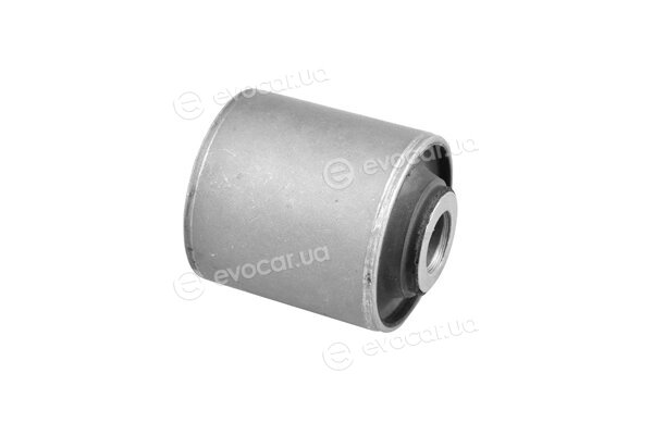 Tedgum 00262633