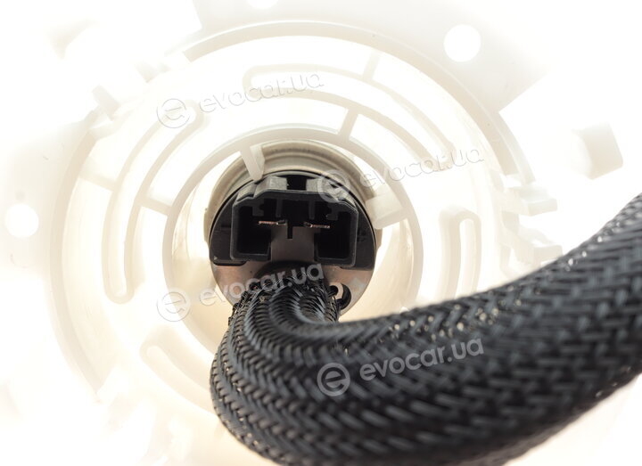 AIC 55419