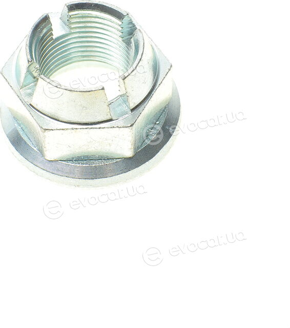 Solgy 216160