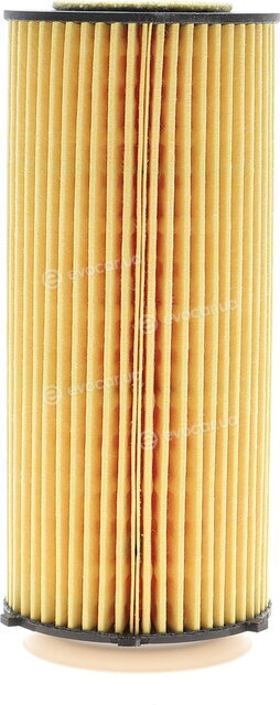 Hengst E125H D209