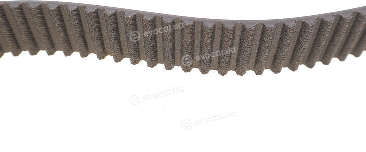 Dayco KTB543