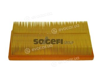 Coopers Fiaam PA7356