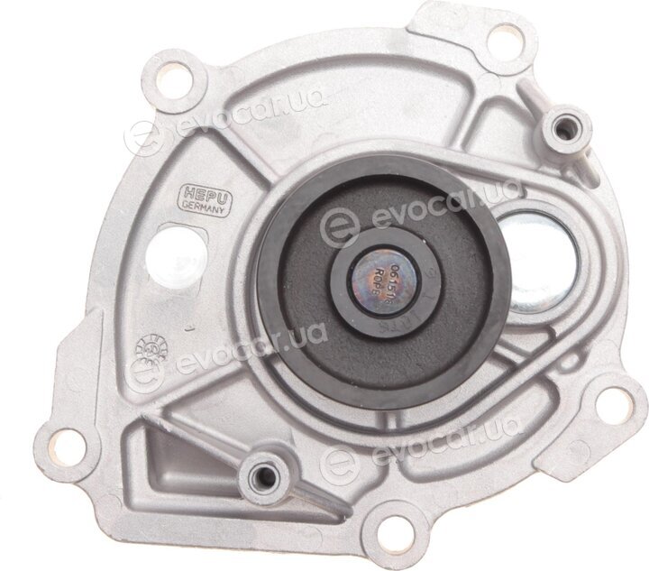 Hepu P1724