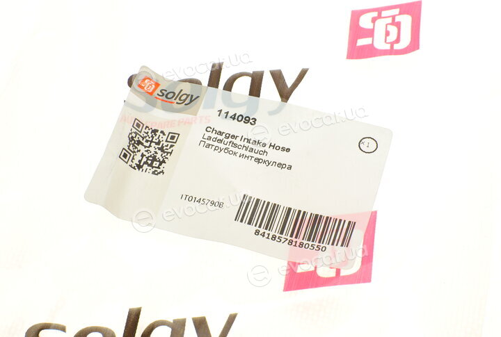 Solgy 114093