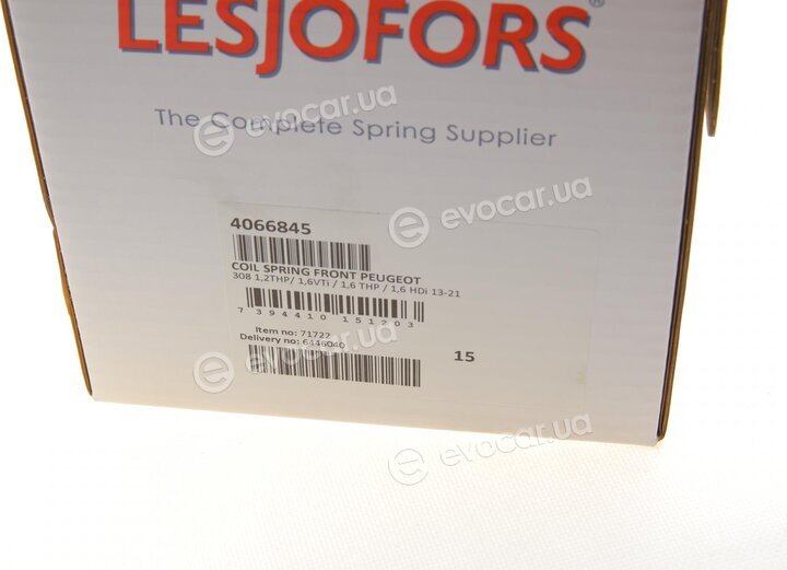 Lesjofors 4066845