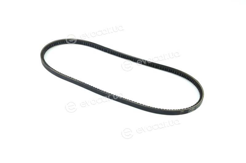 SKF VKMV 11.9x950
