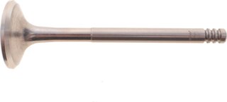 AMP PAUD018-A-0-N