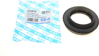 GSP 532879