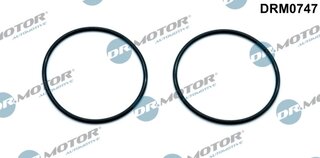 Dr. Motor DRM0747