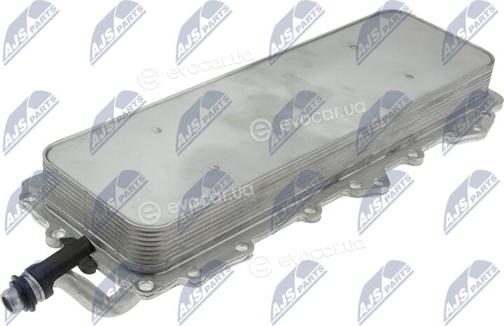 NTY CCL-LR-008
