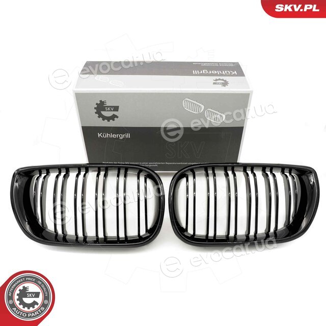 SKV 66SKV081