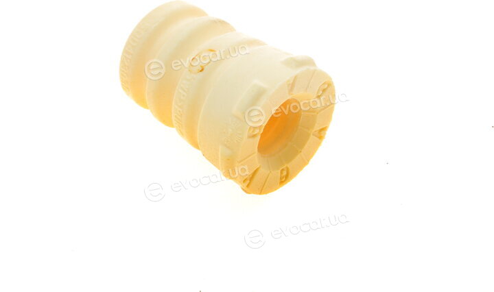 Borsehung B10025
